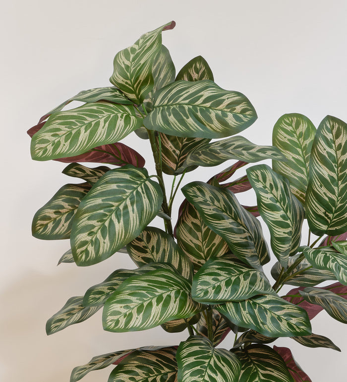 Artificial Calathea Bush