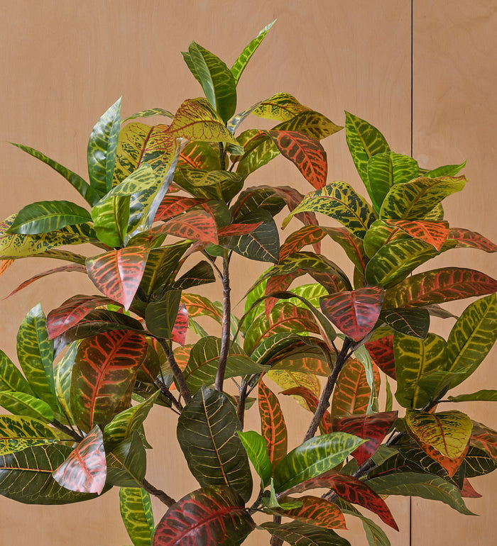 Artificial Croton Tree