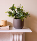 Artificial Eucalyptus