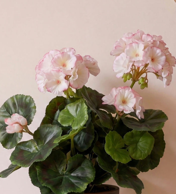 Artificial Geranium & Grey Pot