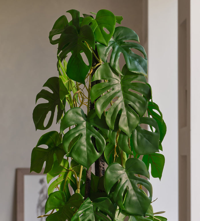 Artificial Monstera Triple Stem