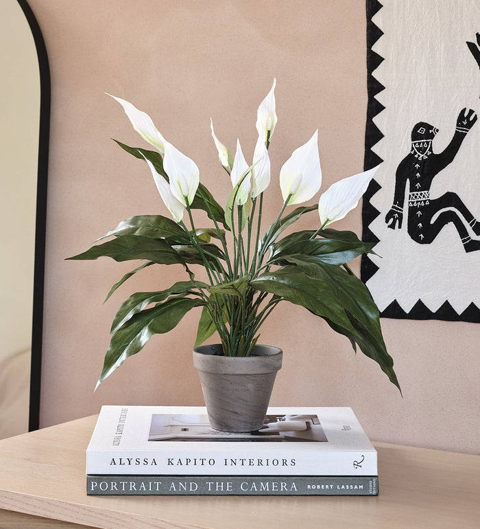 Artificial Peace Lily