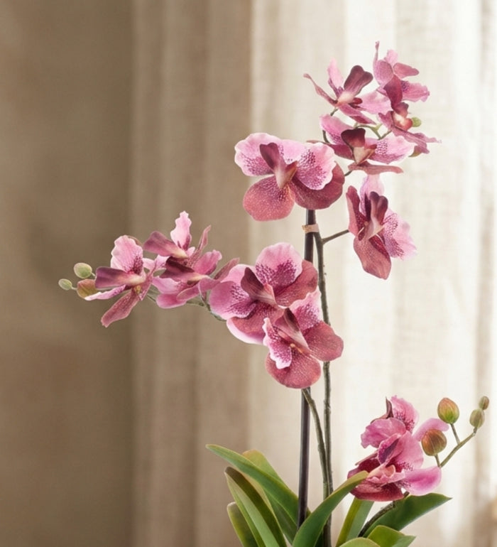 Artificial Pink Orchid
