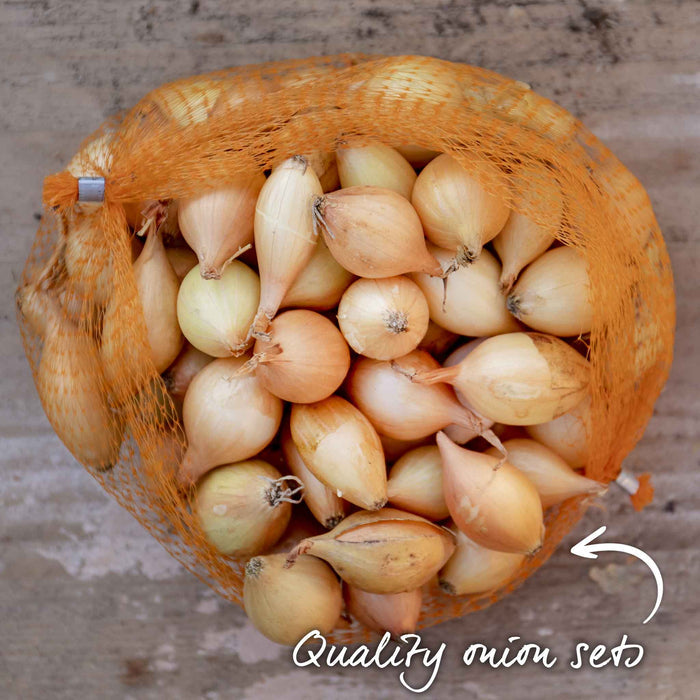 Pack of onion sets highlighting quality produce.