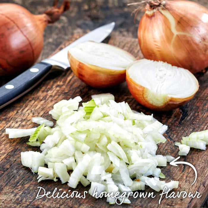 Homegrown white onions chopped for cooking on a rustic board.