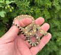 Baby Christmas Mountain Bullsnake