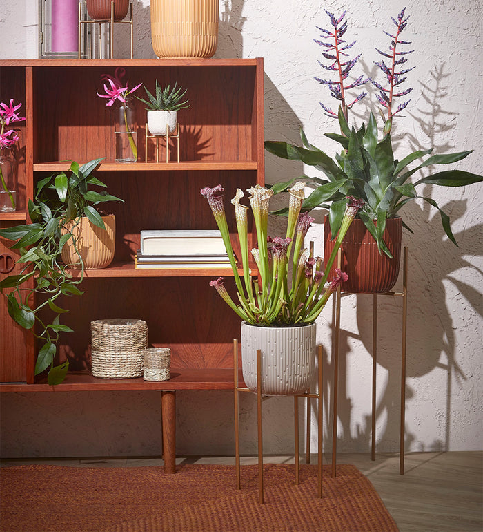 Black Plant Stand 55cm