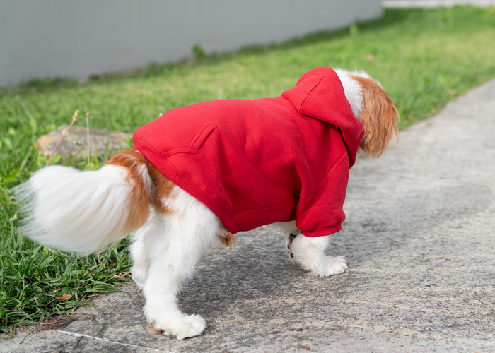 Doggie Hoodie - Haulaload
