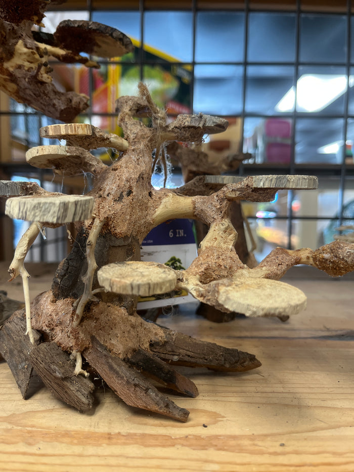 Dragon wood