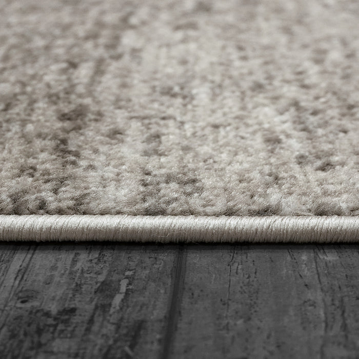 Dynamic Rugs Zahara 4412-900 Grey/Charcoal Rug
