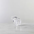 Elephant in a Gift Box