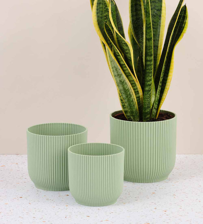 Mint Elho Vibes Pot range
