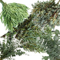 Eucalyptus Custom Box - 5 Bunches PetalDrivenCom