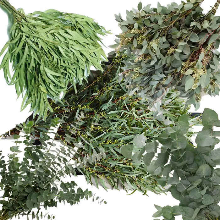Eucalyptus Custom Box - 5 Bunches PetalDrivenCom