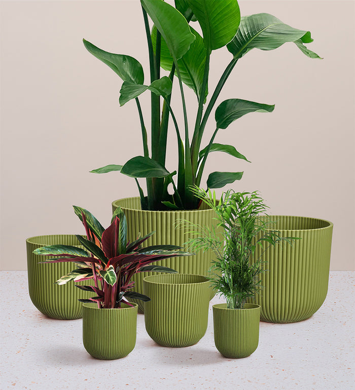 Green Elho Vibes Pot (30cm)