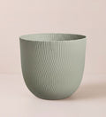 Green Sereh Pot 25cm