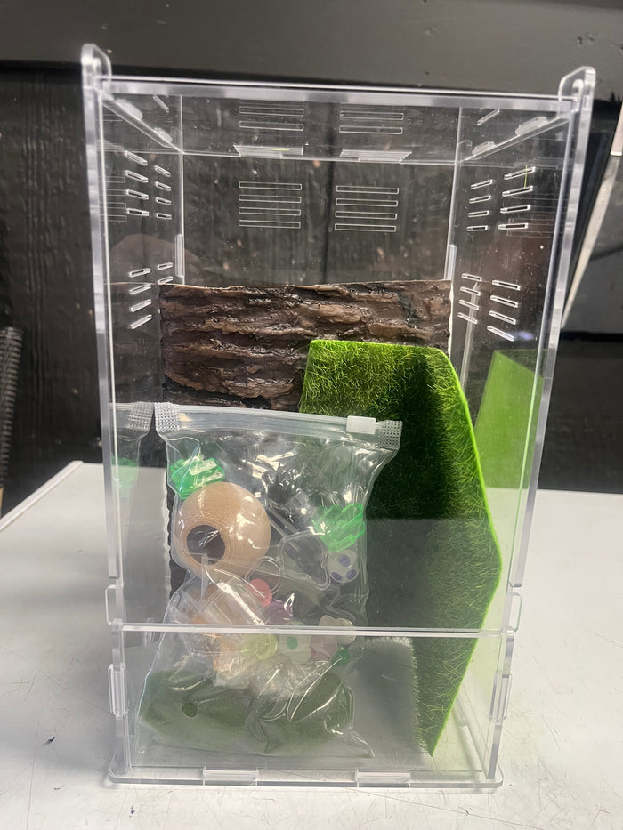 Jumping Spider Kit