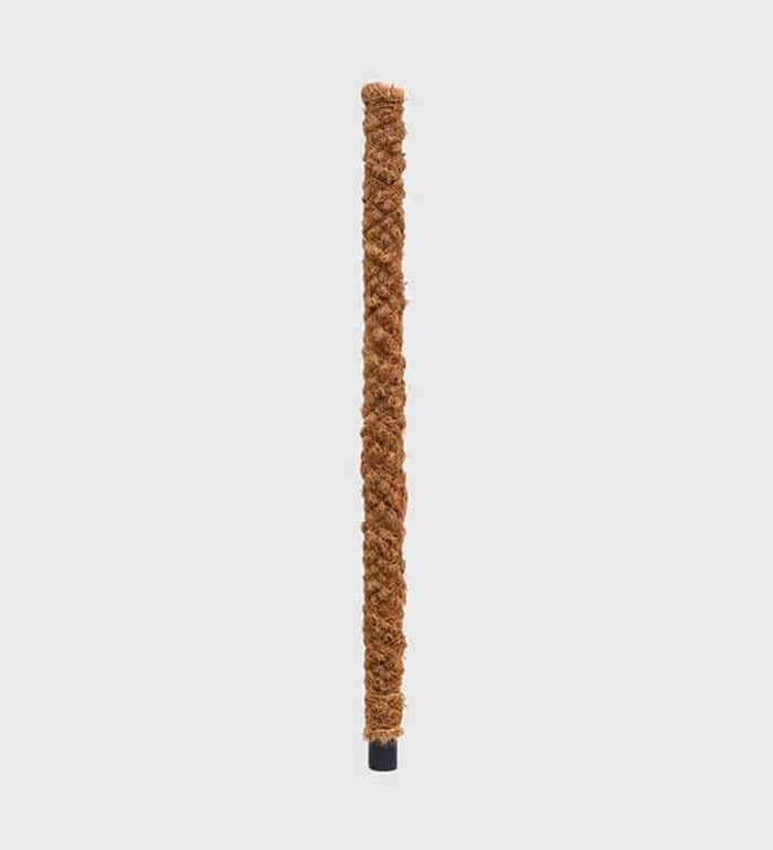 Moss Pole