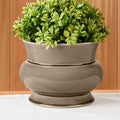 Napa Home & Garden Cora Pedestal Pot Planter