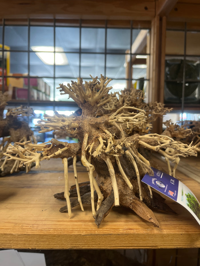 Octopus Wood