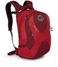 OSPREY OZONE DAYPACK 24 TRAVEL - NORTH RIVER OUTDOORS