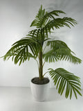 Plant