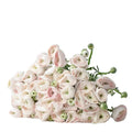 Ranunculus Cloony Hanoi - 50 Stem Bunch Holex Dutch