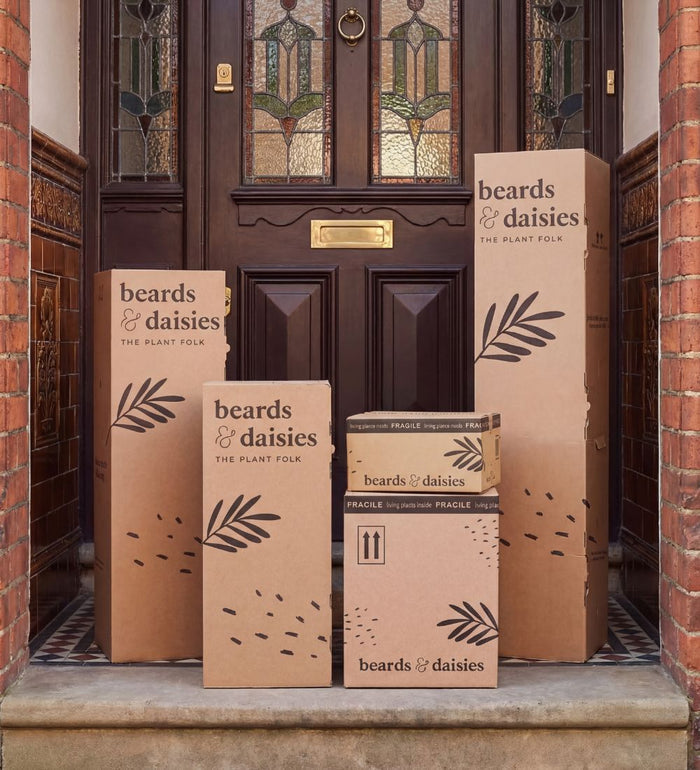 String of Hearts Pair