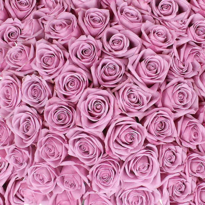Traditional Purple Rose PetalKit PetalDrivenCom