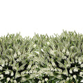 A lush 40-stem bunch of Veronica Spray Caya featuring multiple white flowering spikes on each stem for a full, textured appearance.