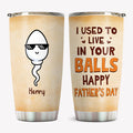 We Used To Live In Your Balls, Personalized Tumbler Cup, Father's Day Gifts