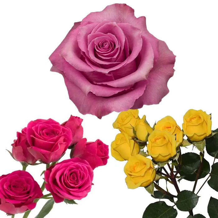 Yellow and Pinks PetalKit PetalDrivenCom